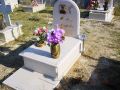 DSC00094.jpg